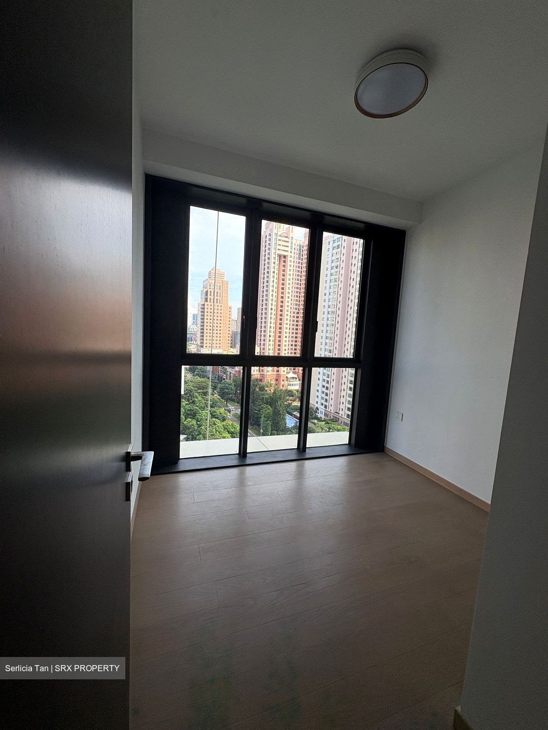 Irwell Hill Residences (D9), Apartment #452637791